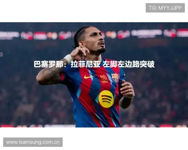 拉菲尼亚技术全面性